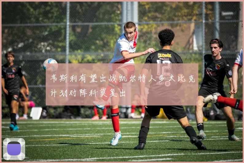 韦斯利有望出战凯尔特人多夫比克计划对阵科莫复出