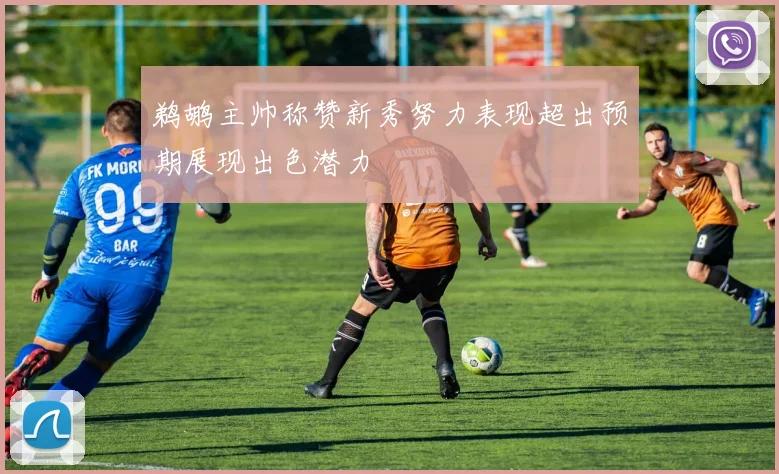 鹈鹕主帅称赞新秀努力表现超出预期展现出色潜力
