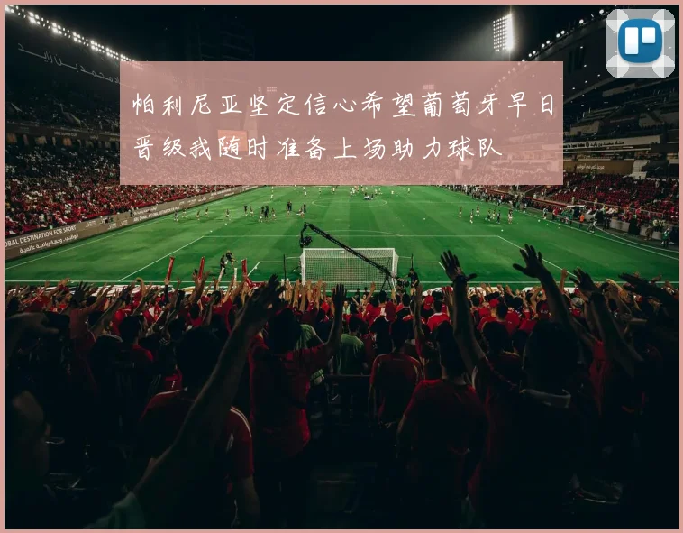帕利尼亚坚定信心希望葡萄牙早日晋级我随时准备上场助力球队